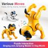 Remote Control Robotic Dog RC Dog